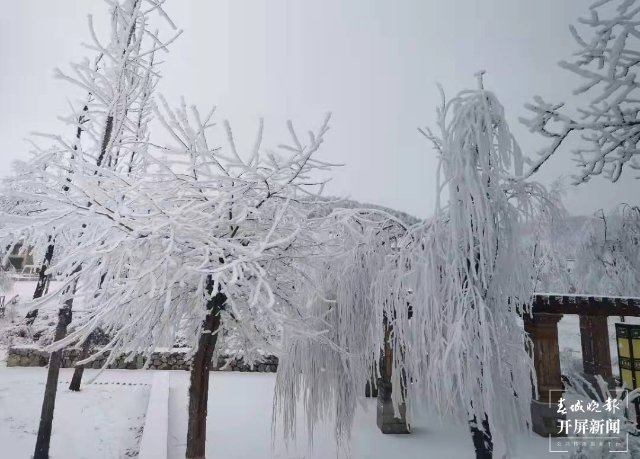 美出天际！昭通大山包保护区现雾凇景观，现场很震撼...