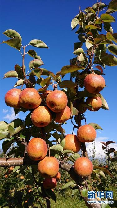 1310479286_16452592810931n