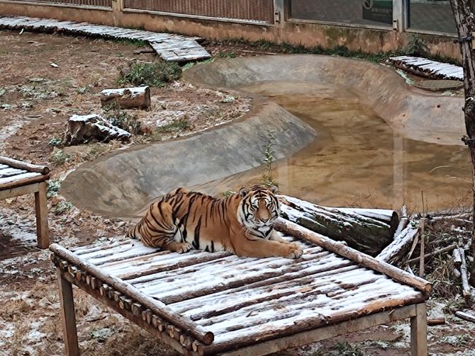 微信图片_20220222152711