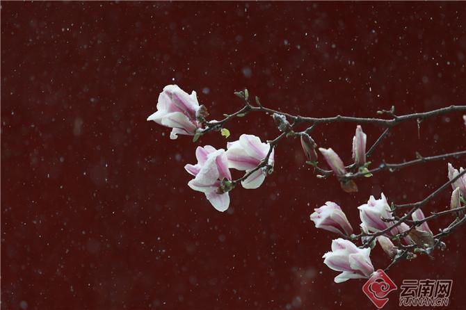 00304499984_c70de7a8