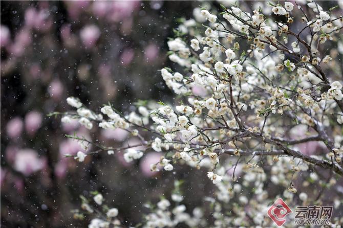 00304499983_f12a9a60