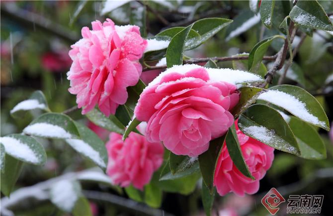 00304499982_06a4de80