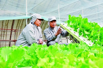 在高质量发展中促进共同富裕