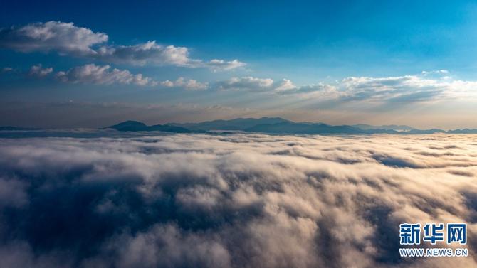 1310484550_16455320279841n