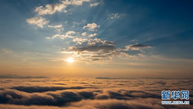 1310484550_16455320280711n