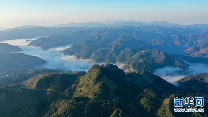 1310484550_16455320282261n