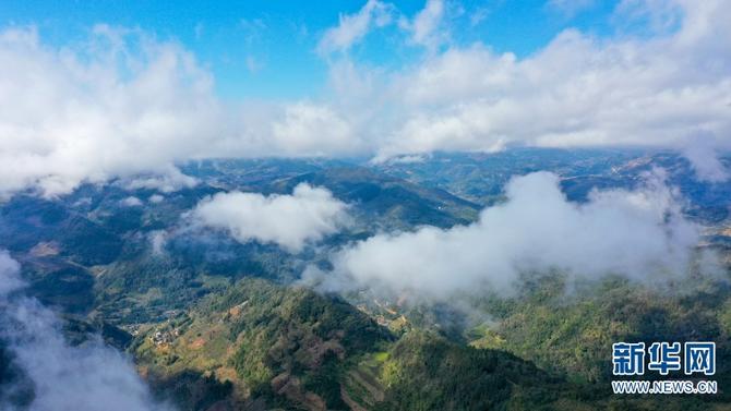 1310484550_16455320283021n