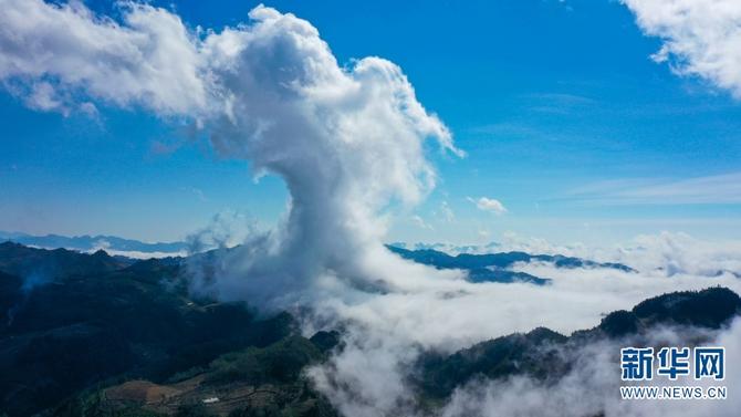 1310484550_16455320283931n