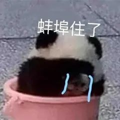 贵州一女子上个厕所惊动了119、110！网友：隔着屏幕都觉得尴尬