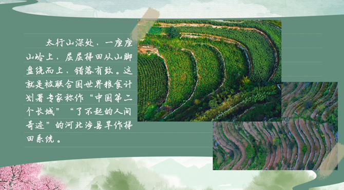 【有声手账】春耕时节,我们在行动④:“种子银行”绿化两千多亩梯田 【有声手账】春耕时节,我们在行动④:“种子银行”绿化两千多亩梯田