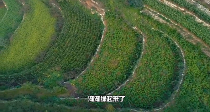 【有声手账】春耕时节,我们在行动④:“种子银行”绿化两千多亩梯田 【有声手账】春耕时节,我们在行动④:“种子银行”绿化两千多亩梯田