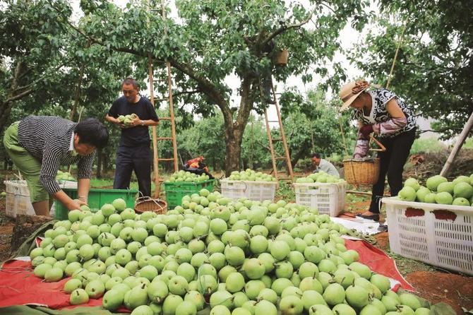 267afa03-6c25-465a-aafa-3fcba42e76a0 267afa03-6c25-465a-aafa-3fcba42e76a0