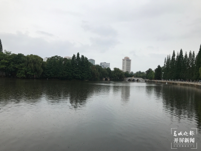 盘龙江水终于流进翠湖(杨质高 摄)