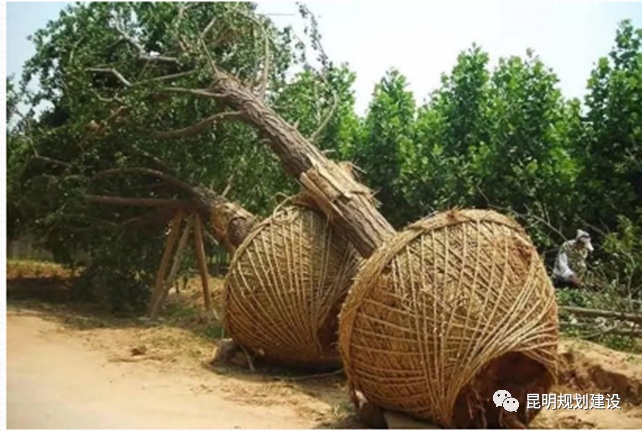 期待！翠湖八景之一“经正书院”原始风貌即将恢复