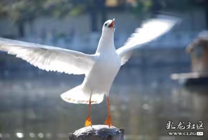 16460225414751701088897094665_197148 16460225414751701088897094665_197148