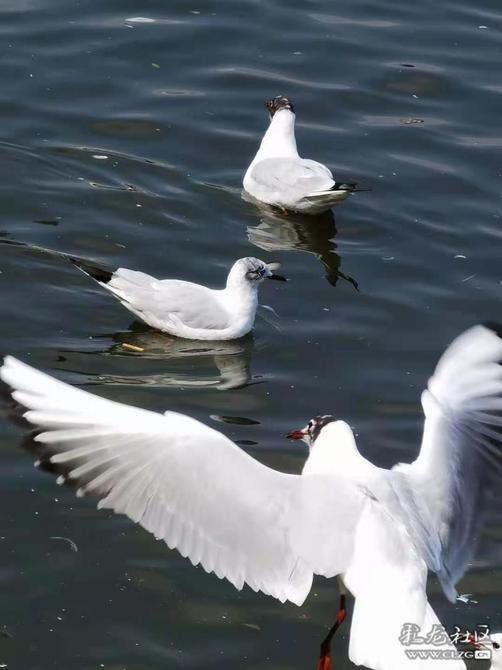 16460225416571840930601919514_197148 16460225416571840930601919514_197148