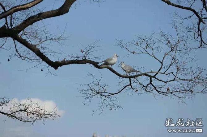 16460225414706140930108531491_197148 16460225414706140930108531491_197148