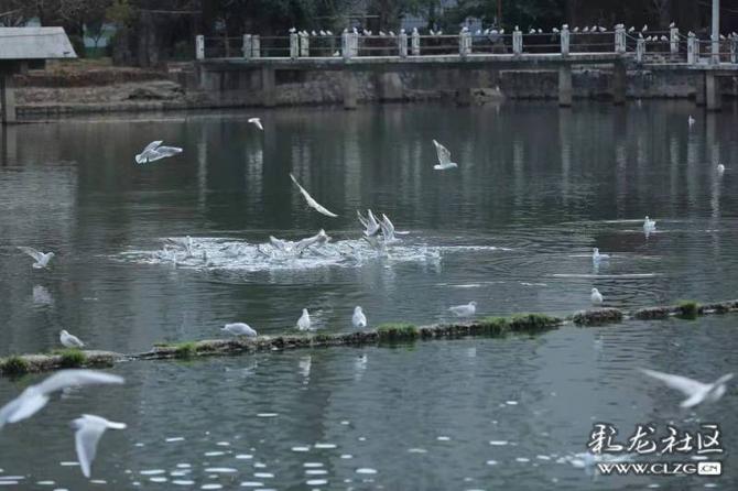 16460225418489769005342977173_197148 16460225418489769005342977173_197148