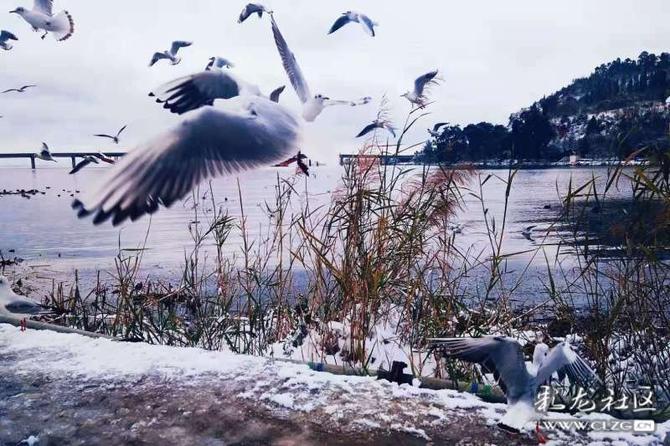 16460225415377365650853636461_197148 16460225415377365650853636461_197148