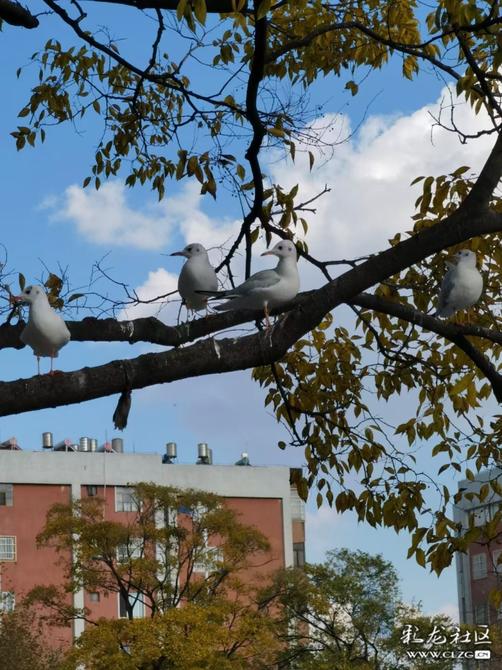 16460225418077221813230572565_197148 16460225418077221813230572565_197148