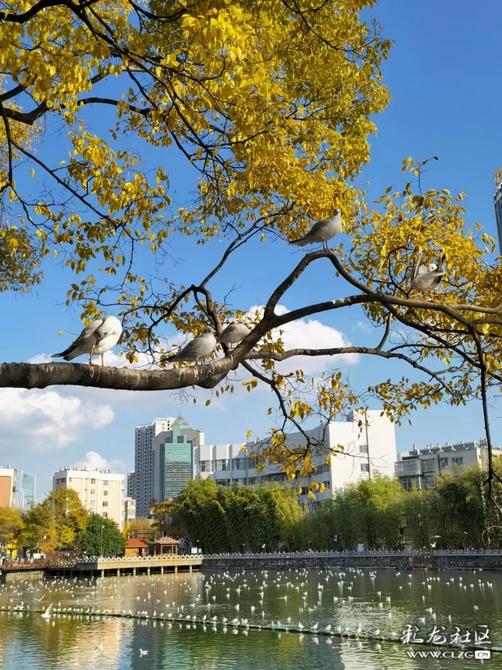 16460225418343783597004579507_197148 16460225418343783597004579507_197148