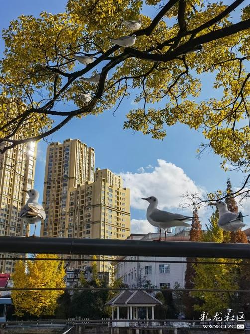 16460225414730976412405171004_197148 16460225414730976412405171004_197148