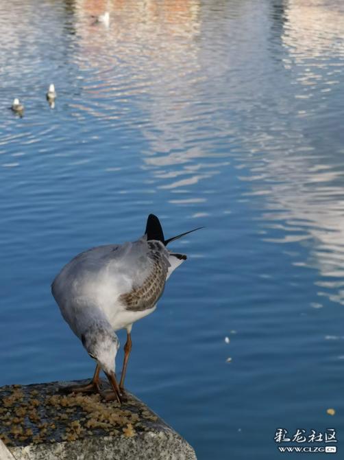 16460225418422406508918033228_197148 16460225418422406508918033228_197148