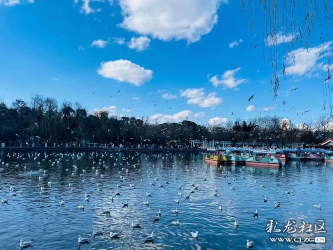 16460225415401452807245560408_197148 16460225415401452807245560408_197148