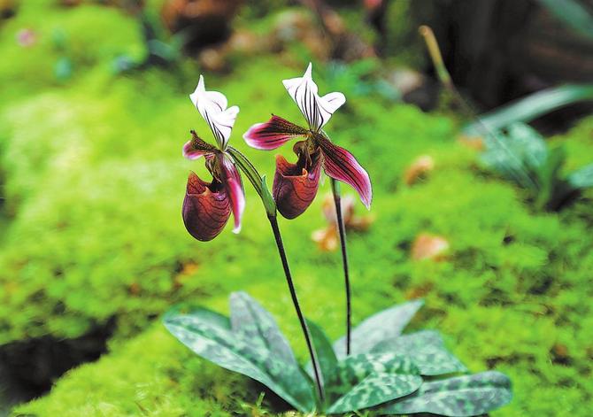 25939ee5-7982-4535-9e86-e260662a683e 25939ee5-7982-4535-9e86-e260662a683e