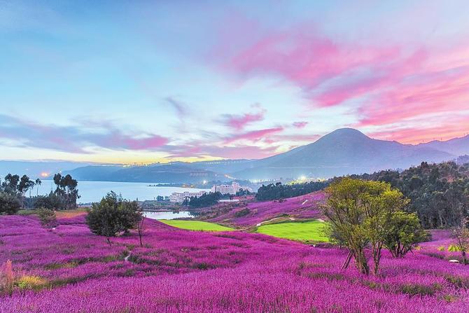 905e9ff0-d253-47a2-a786-75a2dff1e1ab 905e9ff0-d253-47a2-a786-75a2dff1e1ab