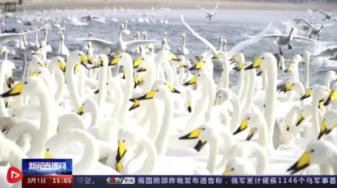 QQ截图20220302103851 QQ截图20220302103851