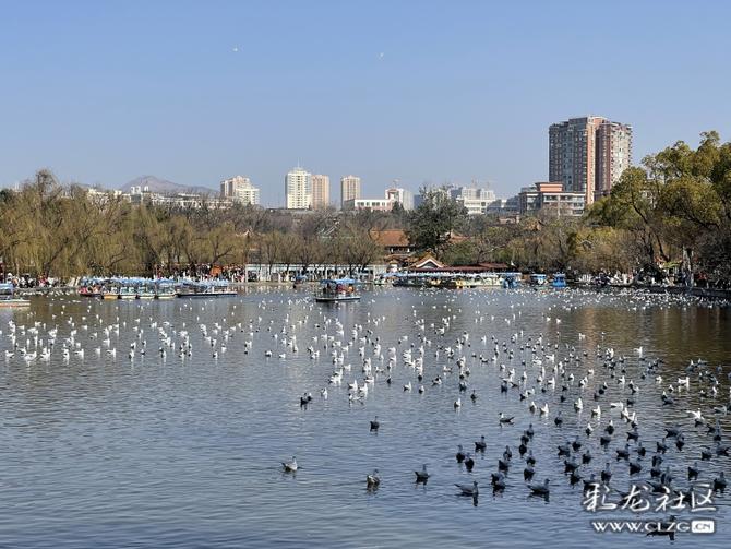 16458457346475961131333896881_349411 16458457346475961131333896881_349411