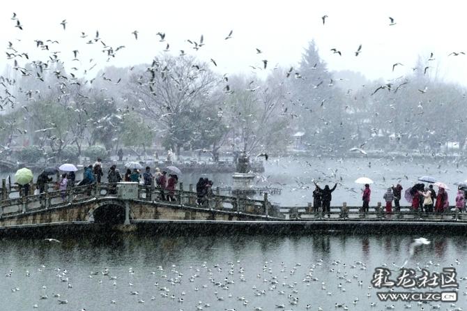 16458565005420518197642915745_349411 16458565005420518197642915745_349411