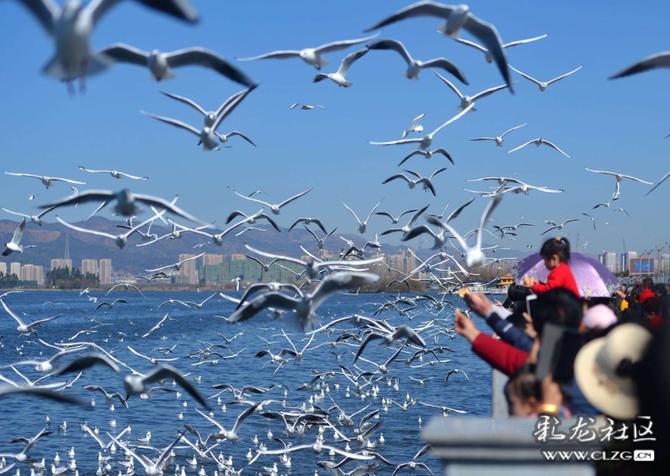 16453612479201853679412732263_349411 16453612479201853679412732263_349411