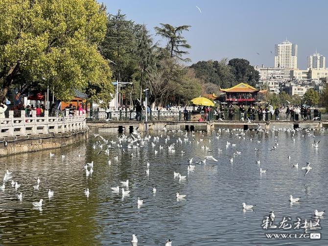 16456070095450289952670868086_349411 16456070095450289952670868086_349411