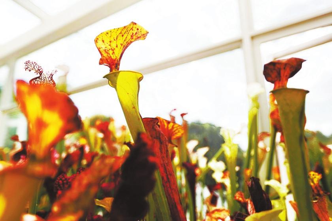 3YOB((A[NRZEHAU5H1$J`7F