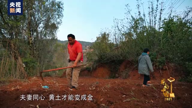 感动中国丨张顺东 李国秀：没脚走出致富路，无手绣出幸福花