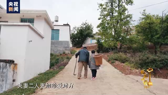 感动中国丨张顺东 李国秀：没脚走出致富路，无手绣出幸福花