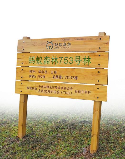 99ea6a2f-2771-4ffc-ba42-b84246bab563