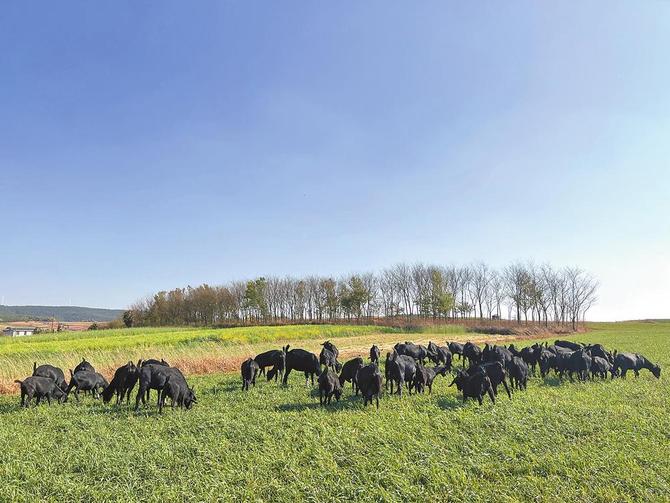 743d0add-0732-4224-aab0-c49c96f2c30d