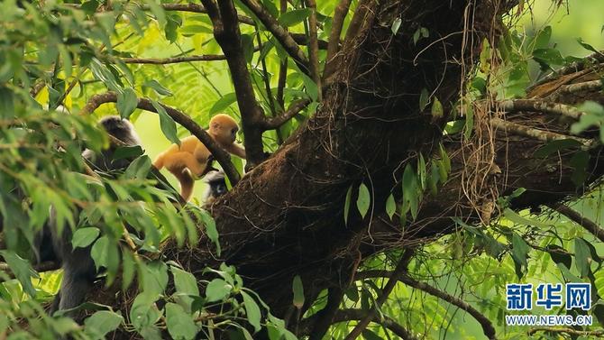 1310501783_16465286158031n