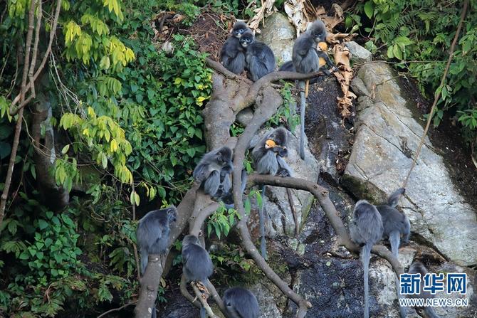 1310501783_16465286158791n