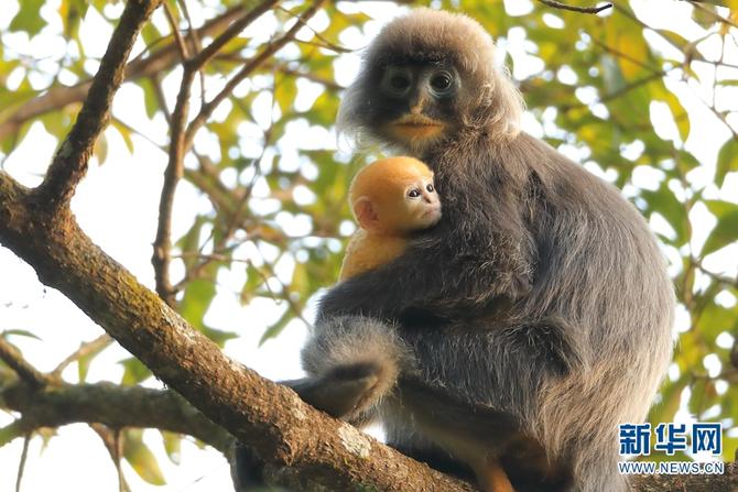 1310501783_16465286159801n