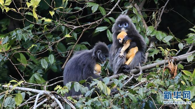 1310501783_16465286160601n