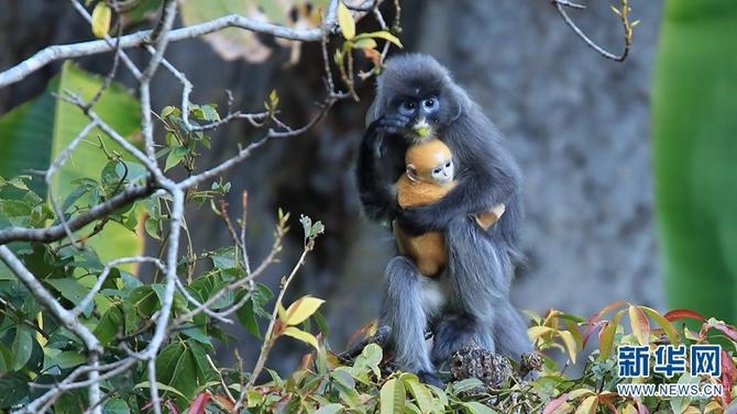 1310501783_16465286161681n (1)