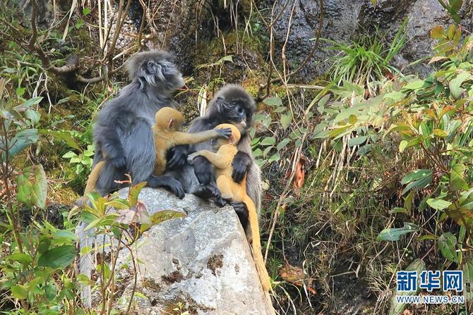 1310501783_16465286162351n