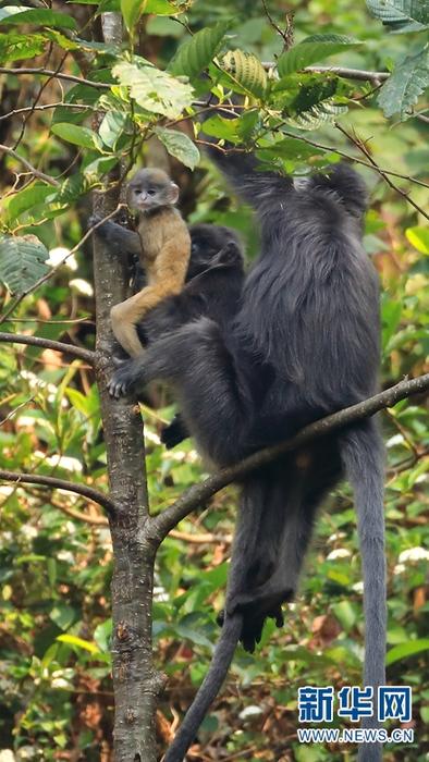 1310501783_16465286163501n