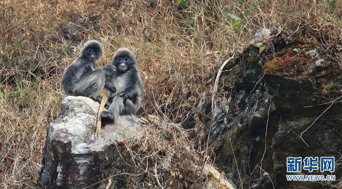 1310501783_16465286164351n