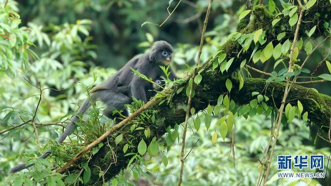 1310501783_16465286165281n