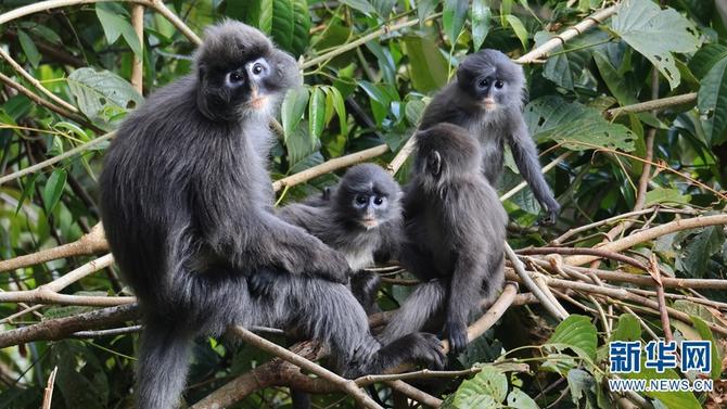 1310501783_16465286165881n